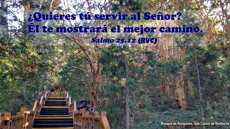 ¿Quieres tú servir al Señor? Él te mostrará el mejor camino?
Salmos 25.12

Foto: Escalera en Bosque de Arrayanes, San Carlos de Bariloche