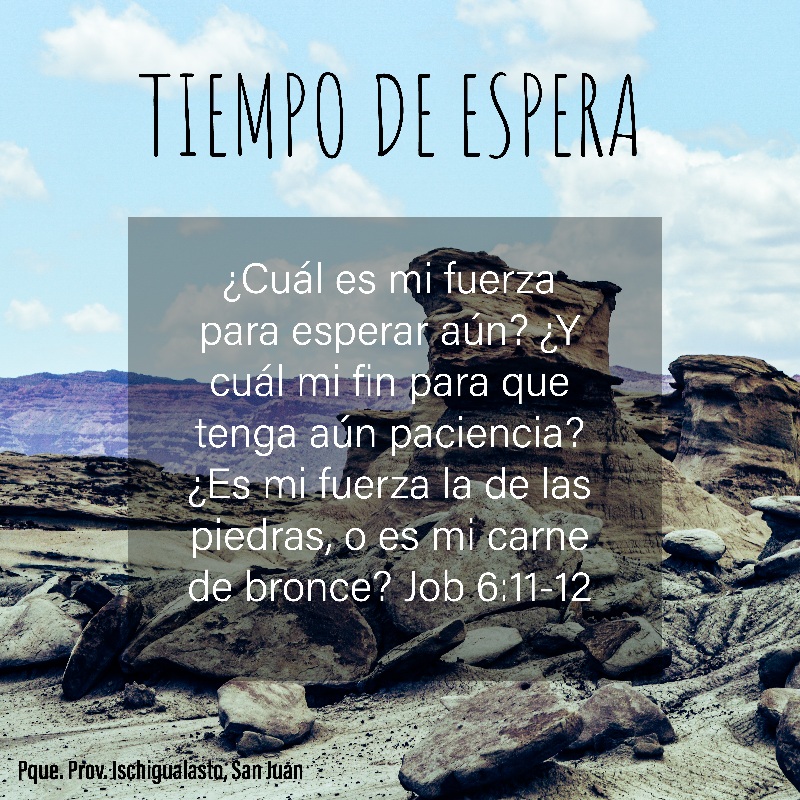 ¿Cuál es mi fuerza para esperar aún?
¿Y cuál mi fin para que tenga aún paciencia?
¿Es mi fuerza la de las piedras,
O es mi carne de bronce? 
Job 6:11-12

Foto: Rocas. Parque Provincial Ischigualasto, San Juan