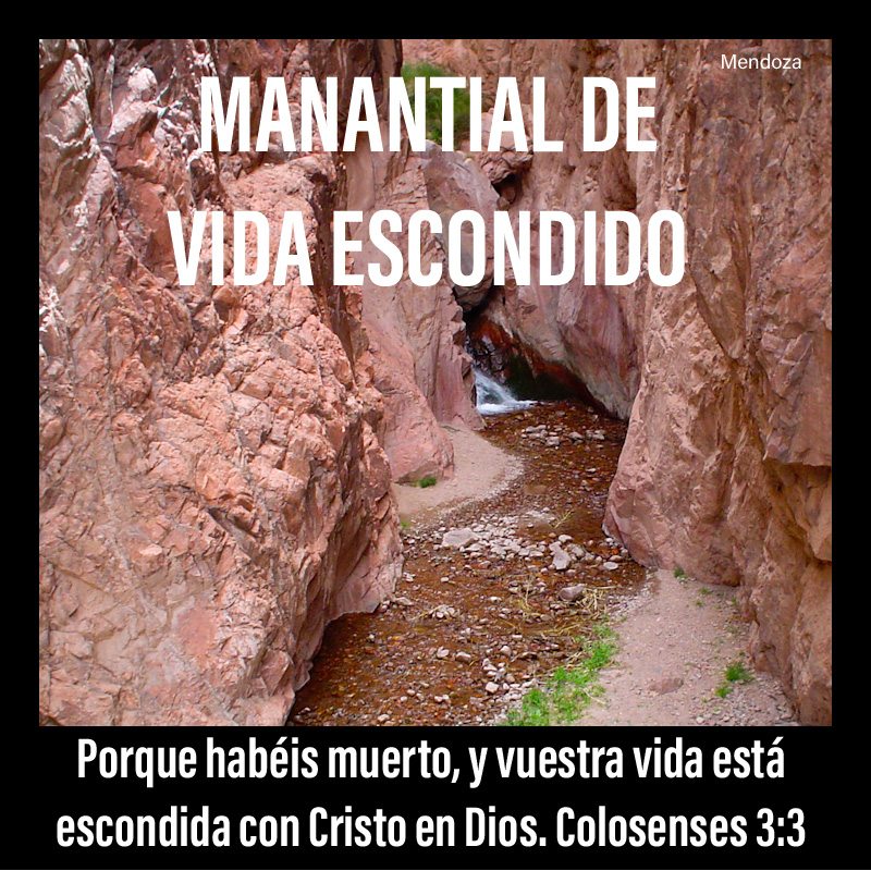 MANANTIAL DE VIDA ESCONDIDO

Porque habéis muerto, y vuestra vida está escondida con Cristo en Dios. 
Colosenses 3:3

Foto: Manantial de agua entre las rocas. Mendoza.