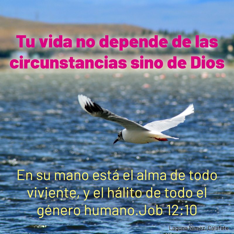 Tu vida no depende de las circunstancias sino de Dios

En su mano está el alma de todo viviente,
Y el hálito de todo el género humano.
Job 12:10

