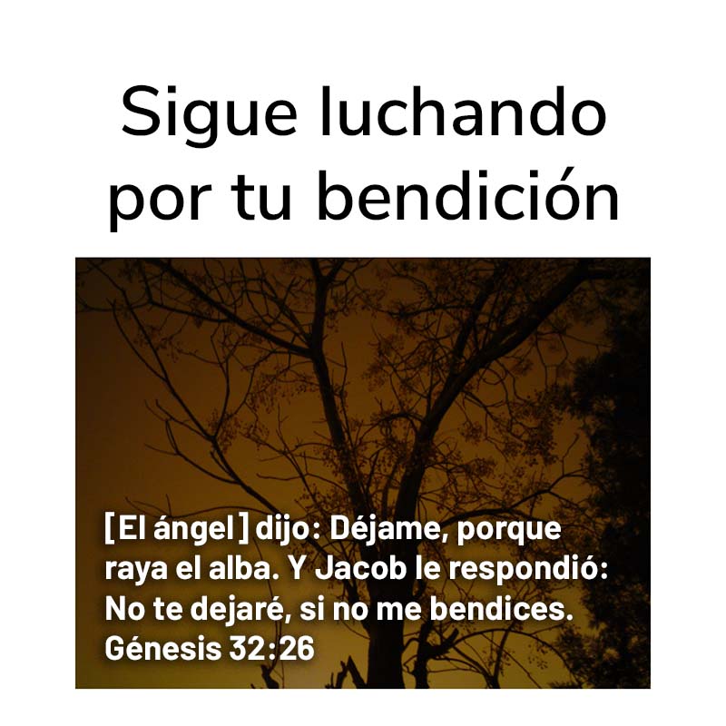 Sigue luchando por tu bendición [El ángel] dijo: Déjame, porque raya el alba. Y Jacob le respondió: No te dejaré, si no me bendices. Génesis 32:26