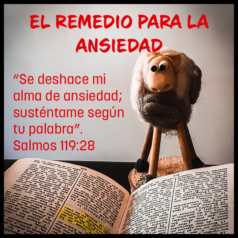 EL REMEDIO PARA LA ANSIEDAD. “Se deshace mi alma de ansiedad; susténtame según tu palabra”. Salmos 119:28