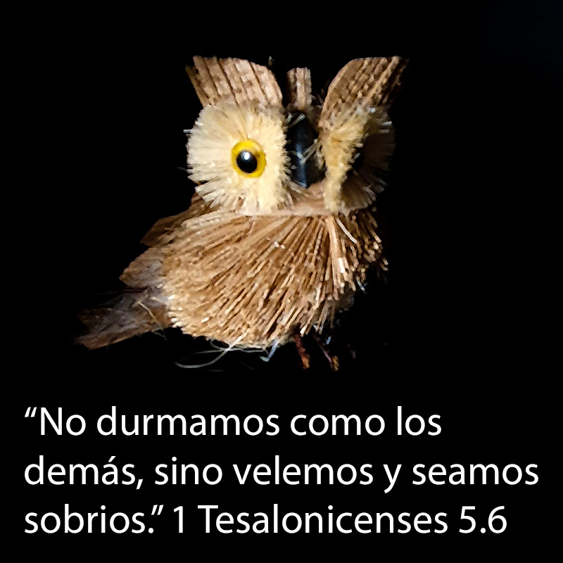 “No durmamos como los demás, sino velemos y seamos sobrios.” 1 Tesalonicenses 5.6