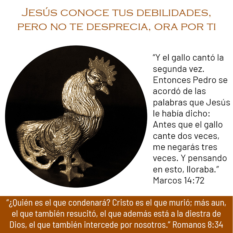 Jesús conoce tus debilidades, pero no te desprecia, ora por ti
“Y el gallo cantó la segunda vez. Entonces Pedro se acordó de las palabras que Jesús le había dicho: Antes que el gallo cante dos veces, me negarás tres veces. Y pensando en esto, lloraba.”  Marcos 14:72
“¿Quién es el que condenará? Cristo es el que murió; más aun, el que también resucitó, el que además está a la diestra de Dios, el que también intercede por nosotros.” Romanos 8:34