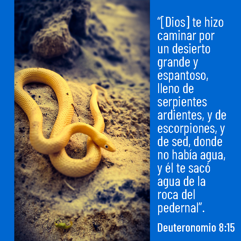 “[Dios] te hizo caminar por un desierto grande y espantoso, lleno de serpientes ardientes, y de escorpiones, y de sed, donde no había agua, y él te sacó agua de la roca del pedernal”. Deuteronomio 8:15
