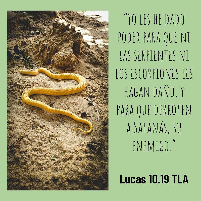 “Yo les he dado poder para que ni las serpientes ni los escorpiones les hagan daño, y para que derroten a Satanás, su enemigo.” Lucas 10.19 TLA