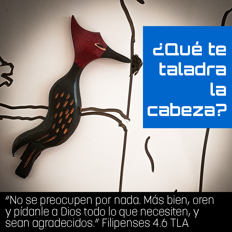 ¿Qué te taladra la cabeza?
“No se preocupen por nada. Más bien, oren y pídanle a Dios todo lo que necesiten, y sean agradecidos.” Filipenses 4.6 TLA