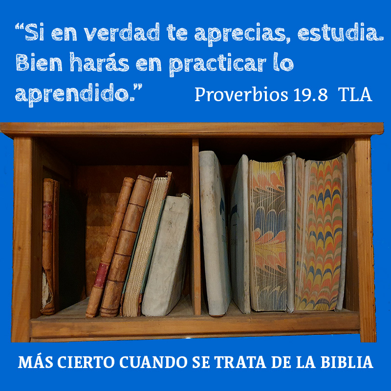 “Si en verdad te aprecias, estudia. Bien harás en practicar lo aprendido.”
Proverbios 19.8  TLA

Más cierto cuando se trata de la Biblia