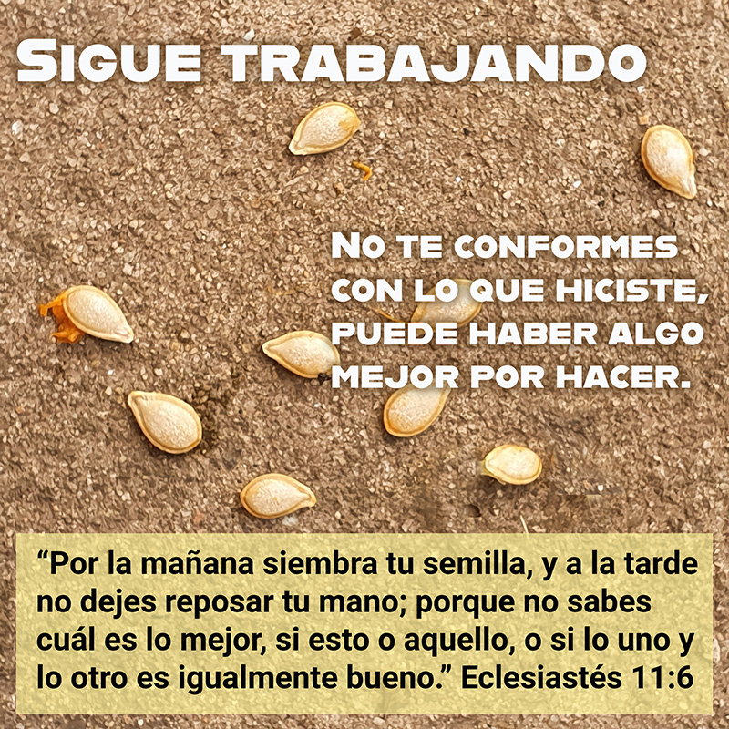 No te conformes con lo que hiciste, puede haber algo mejor por hacer. "Por la mañana siembra tu semilla, y a la tarde no dejes reposar tu mano; porque no sabes cuál es lo mejor, si esto o aquello, o si lo uno y lo otro es igualmente bueno." Eclesiastés 11:6