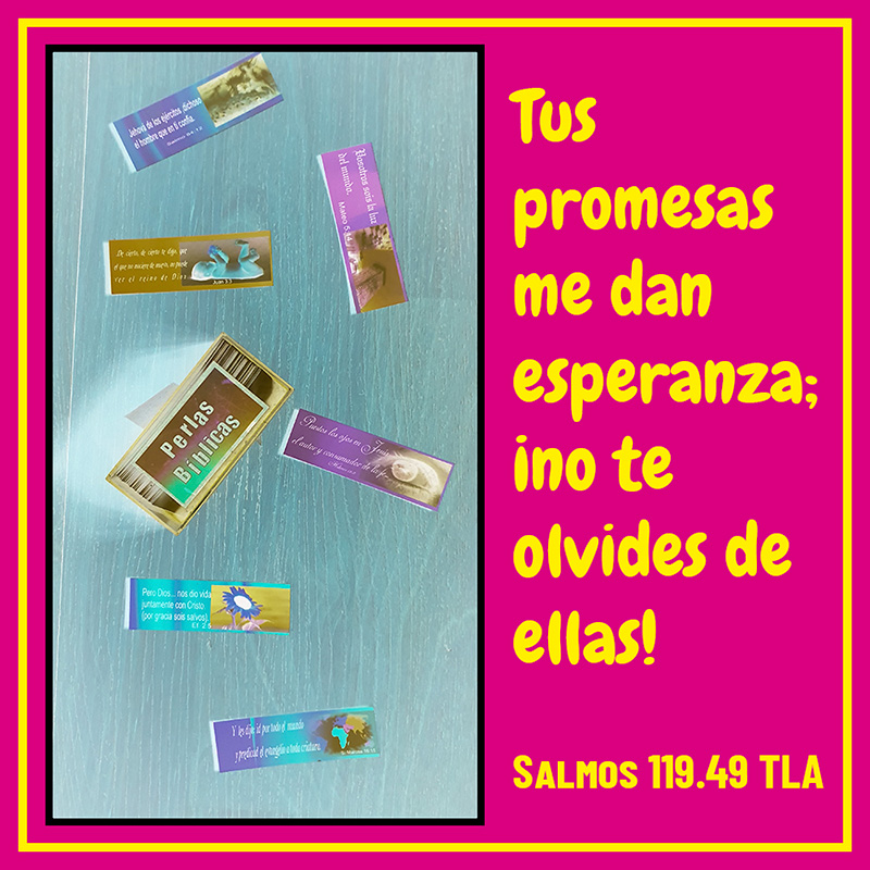 "Tus promesas me dan esperanza; ¡no te olvides de ellas!" Salmos 119.49 TLA