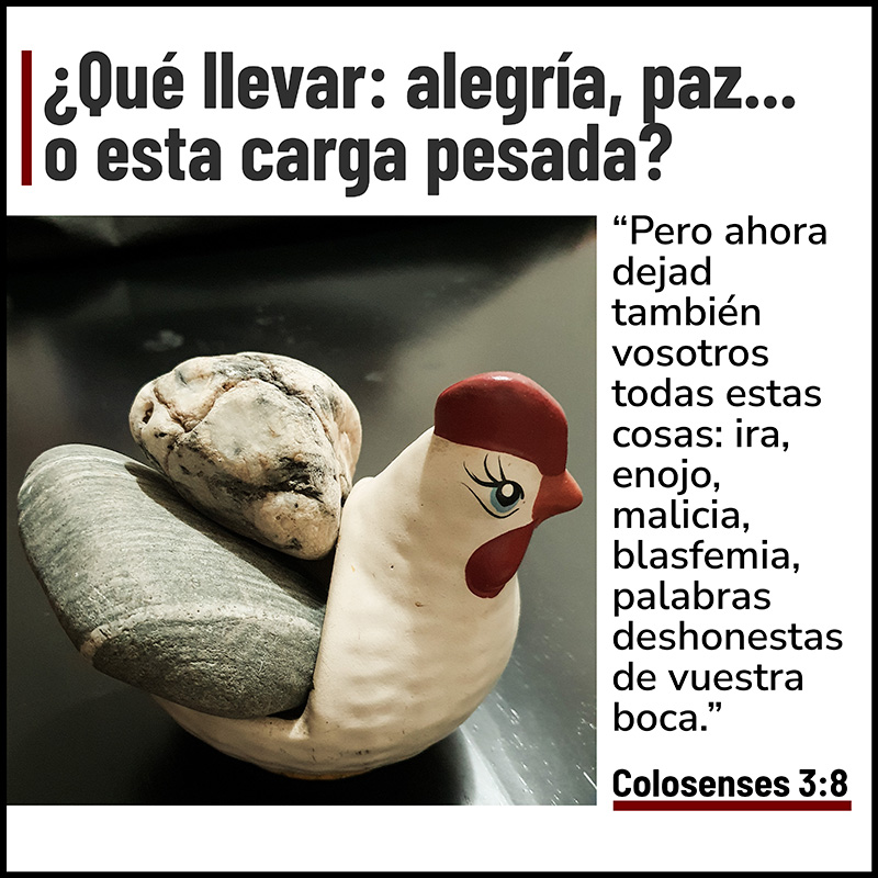 ¿Qué llevar: alegría, paz... o esta carga pesada?

"Pero ahora dejad también vosotros todas estas cosas: ira, enojo, malicia, blasfemia, palabras deshonestas de vuestra boca."
Colosenses 3:8