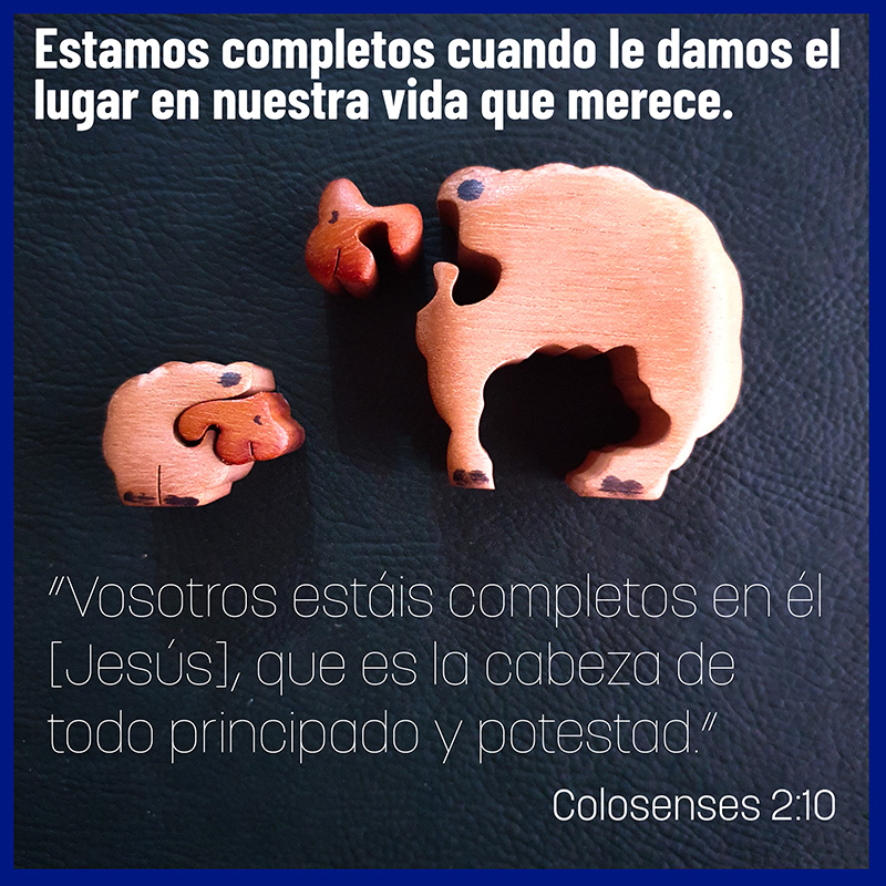 Estamos completos cuando le damos el lugar en nuestra vida que merece.

“Vosotros estáis completos en él [Jesús], que es la cabeza de todo principado y potestad.” Colosenses 2:10