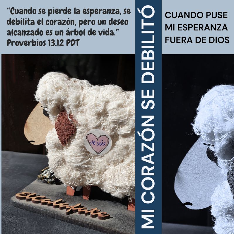 “Cuando se pierde la esperanza, se debilita el corazón, pero un deseo alcanzado es un árbol de vida.” Proverbios 13.12 PDT 

Mi corazón se debilitó cuando puse mi esperanza fuera de Dios