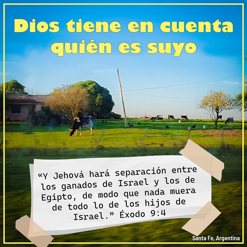 “Y Jehová hará separación entre los ganados de Israel y los de Egipto, de modo que nada muera de todo lo de los hijos de Israel.” Éxodo 9:4