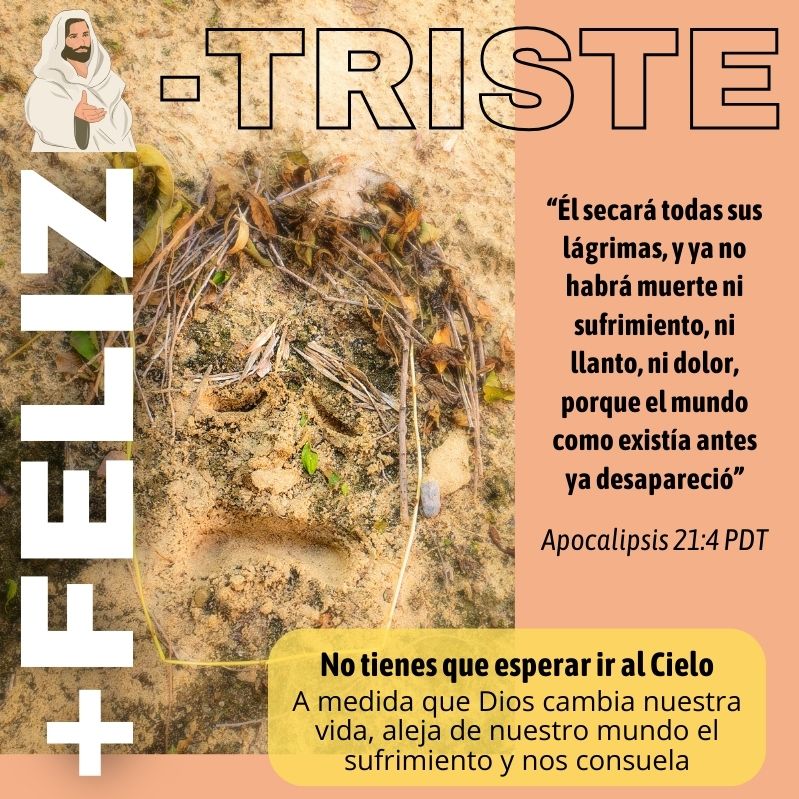 “Él secará todas sus lágrimas, y ya no habrá muerte ni sufrimiento, ni llanto, ni dolor, porque el mundo como existía antes ya desapareció”
Apocalipsis 21:4 PDT

No tienes que esperar ir al Cielo
A medida que Dios cambia nuestra vida, aleja de nuestro mundo el sufrimiento y nos consuela