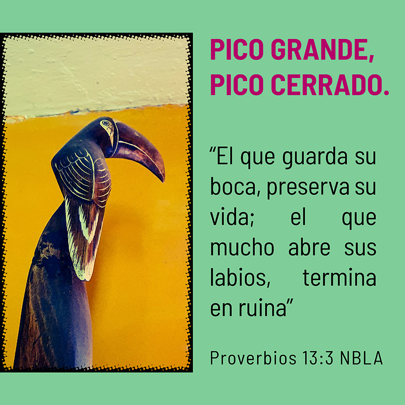 Pico grande, pico cerrado. “El que guarda su boca, preserva su vida; el que mucho abre sus labios, termina en ruina” Proverbios 13:3 NBLA