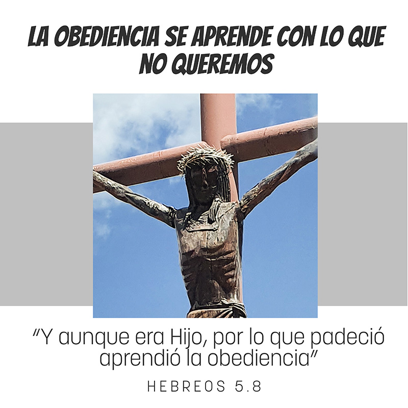 La obediencia se aprende con lo que no queremos “Y aunque era Hijo, por lo que padeció aprendió la obediencia” Hebreos 5.8