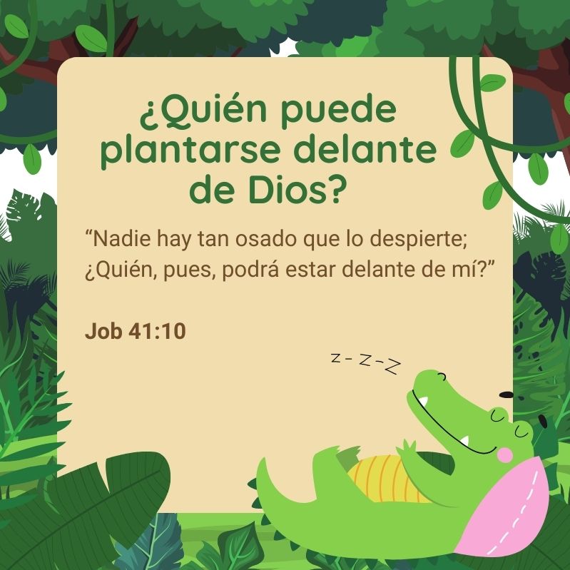 ¿Quién puede plantarse delante de Dios?

“Nadie hay tan osado que lo despierte; ¿Quién, pues, podrá estar delante de mí?”
Job 41:10