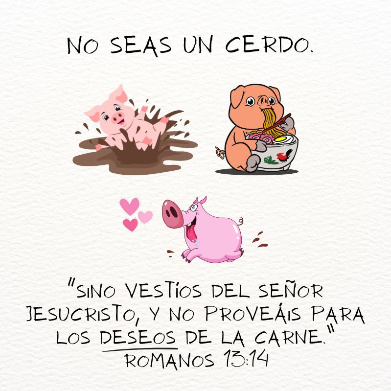 No seas como un cerdo que se revuelca en el barro, come hasta reventar y no se contiene ante la pasión.
“sino vestíos del Señor Jesucristo, y no proveáis para los deseos de la carne.” Romanos 13:14
