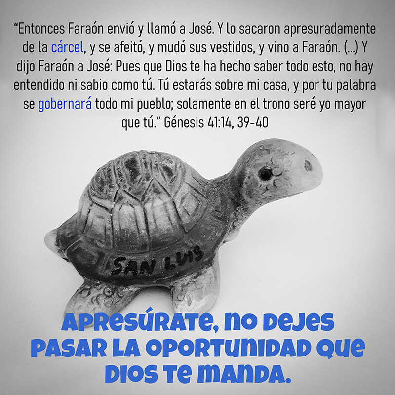 “Entonces Faraón envió y llamó a José. Y lo sacaron apresuradamente de la cárcel, y se afeitó, y mudó sus vestidos, y vino a Faraón. (...) Y dijo Faraón a José: Pues que Dios te ha hecho saber todo esto, no hay entendido ni sabio como tú. Tú estarás sobre mi casa, y por tu palabra se gobernará todo mi pueblo; solamente en el trono seré yo mayor que tú.” Génesis 41:14, 39-40 Apresúrate, no dejes pasar la oportunidad que Dios te manda.