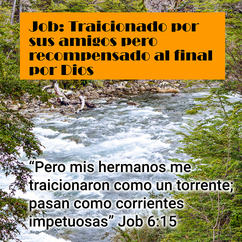 Job: Traicionado por sus amigos pero recompensado al final por Dios “Pero mis hermanos me traicionaron como un torrente; pasan como corrientes impetuosas” Job 6:15