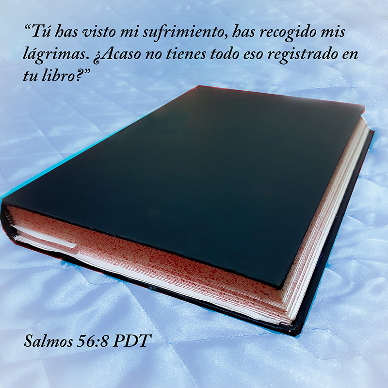 “Tú has visto mi sufrimiento, has recogido mis lágrimas. ¿Acaso no tienes todo eso registrado en tu libro?” Salmos 56:8 PDT