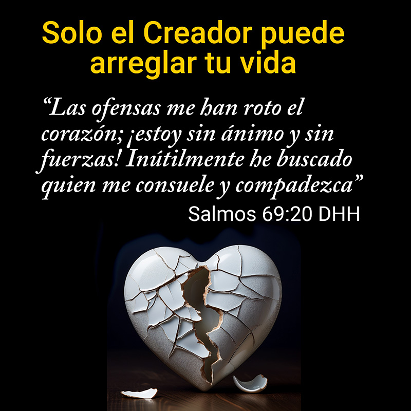 Solo el Creador puede arreglar tu vida “Las ofensas me han roto el corazón; ¡estoy sin ánimo y sin fuerzas! Inútilmente he buscado quien me consuele y compadezca” Salmos 69:20 DHH