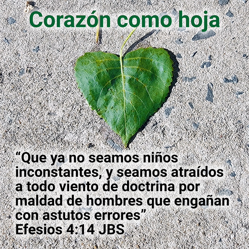 Corazón como hoja

“Que ya no seamos niños inconstantes, y seamos atraídos a todo viento de doctrina por maldad de hombres que engañan con astutos errores” 
Efesios 4:14 JBS