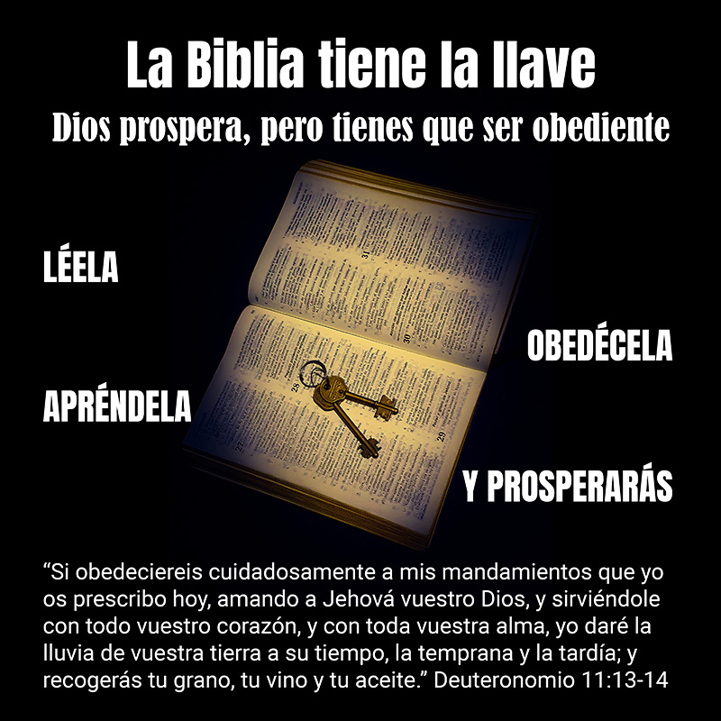 La Biblia tiene la llave Dios prospera, pero tienes que ser obediente LÉELA, APRÉNDELA, OBEDÉCELA Y PROSPERARÁS “Si obedeciereis cuidadosamente a mis mandamientos que yo os prescribo hoy, amando a Jehová vuestro Dios, y sirviéndole con todo vuestro corazón, y con toda vuestra alma, yo daré la lluvia de vuestra tierra a su tiempo, la temprana y la tardía; y recogerás tu grano, tu vino y tu aceite.” Deuteronomio 11:13-14