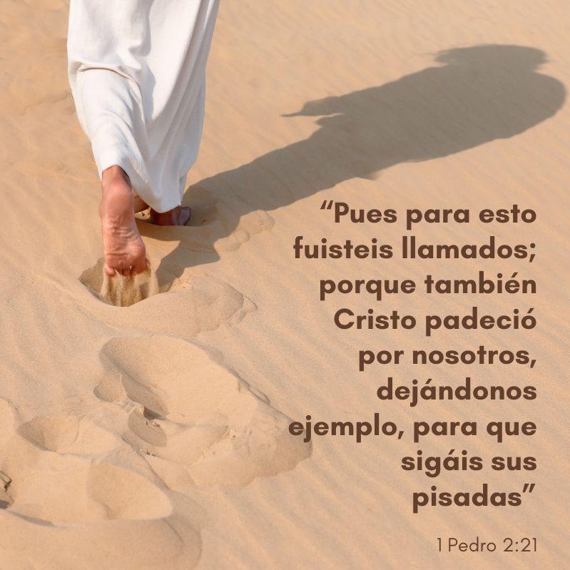 “Pues para esto fuisteis llamados; porque también Cristo padeció por nosotros, dejándonos ejemplo, para que sigáis sus pisadas”
1 Pedro 2:21