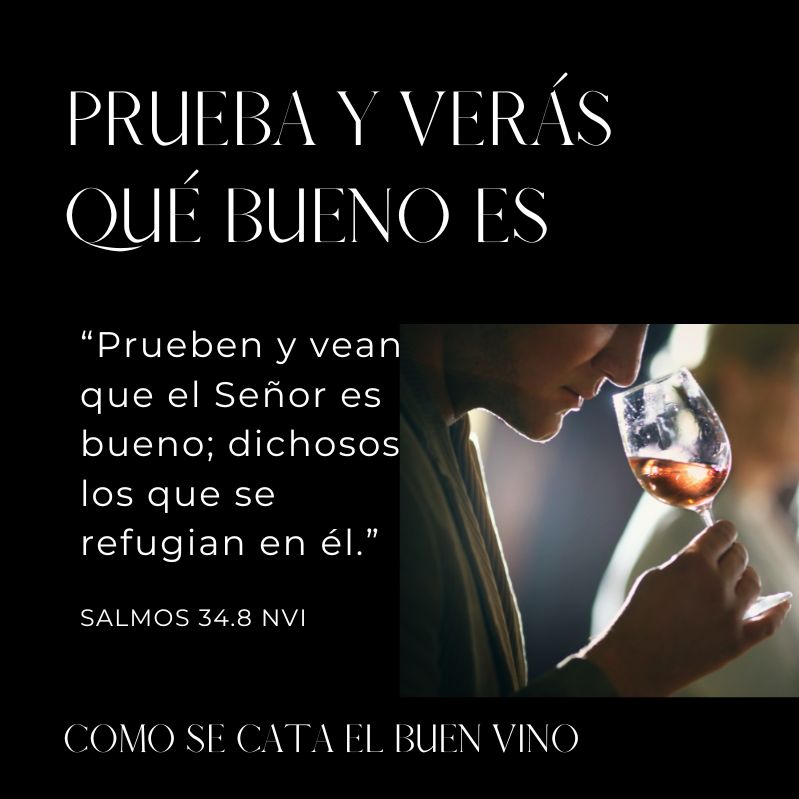Prueba y verás qué bueno es

“Prueben y vean que el Señor es bueno; dichosos los que se refugian en él.”
Salmos 34.8 NVI