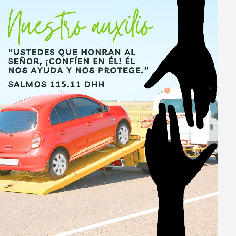 “Ustedes que honran al Señor, ¡confíen en él! Él nos ayuda y nos protege.” Salmos 115.11 DHH