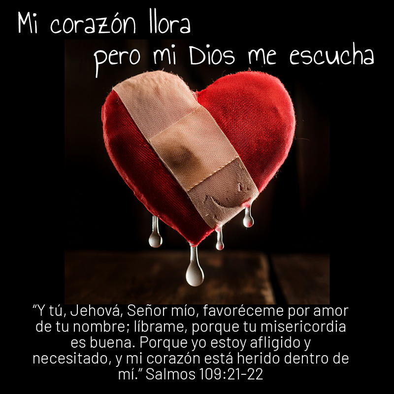 Mi corazón llora, pero mi Dios me escucha. “Y tú, Jehová, Señor mío, favoréceme por amor de tu nombre; líbrame, porque tu misericordia es buena. Porque yo estoy afligido y necesitado, y mi corazón está herido dentro de mí.” Salmos 109:21-22