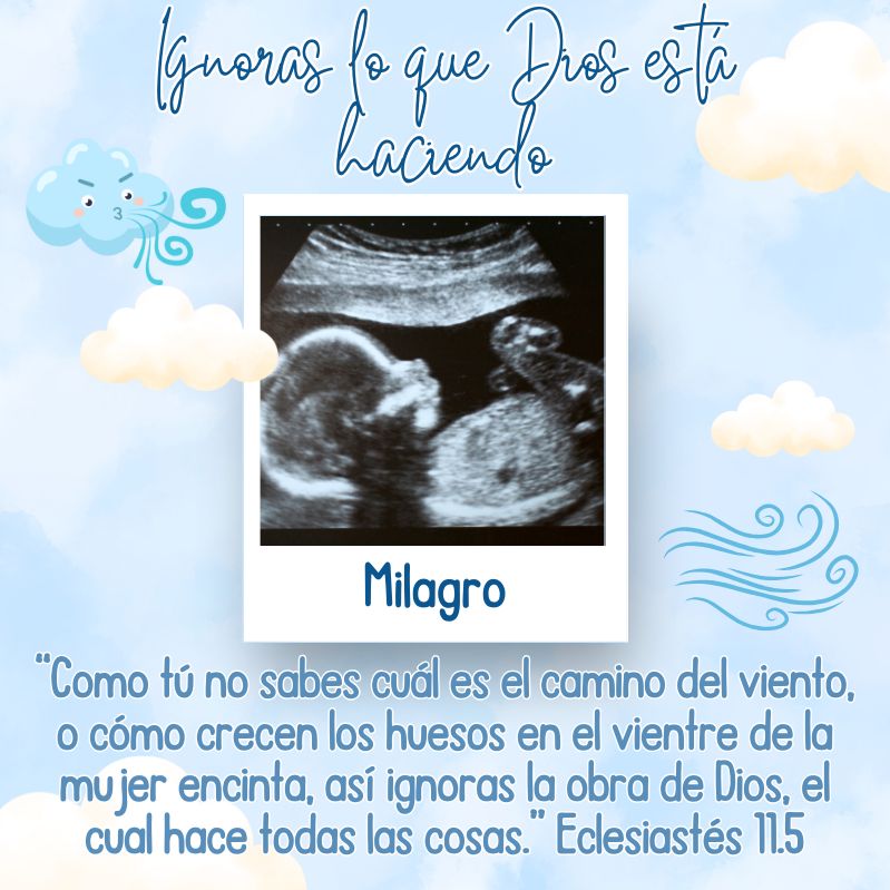 "Como tú no sabes cuál es el camino del viento, o cómo crecen los huesos en el vientre de la mujer encinta, así ignoras la obra de Dios, el cual hace todas las cosas."
Eclesiastés 11.5
