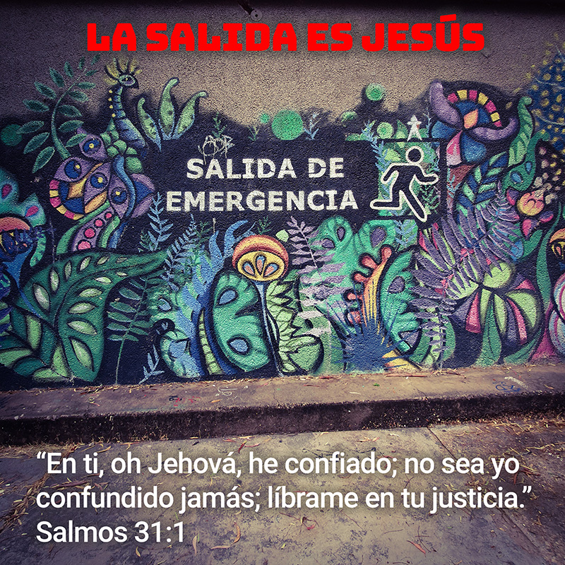 “En ti, oh Jehová, he confiado; no sea yo confundido jamás; líbrame en tu justicia.” Salmos 31:1