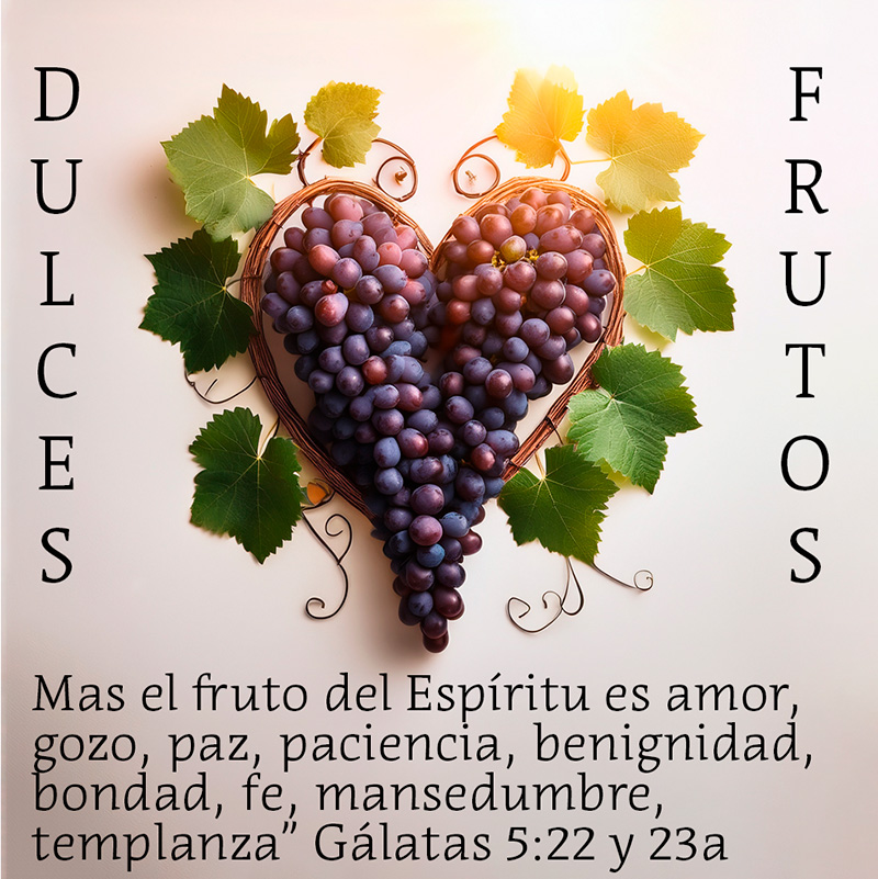 Mas el fruto del Espíritu es amor, gozo, paz, paciencia, benignidad, bondad, fe, mansedumbre, templanza” Gálatas 5:22 y 23a