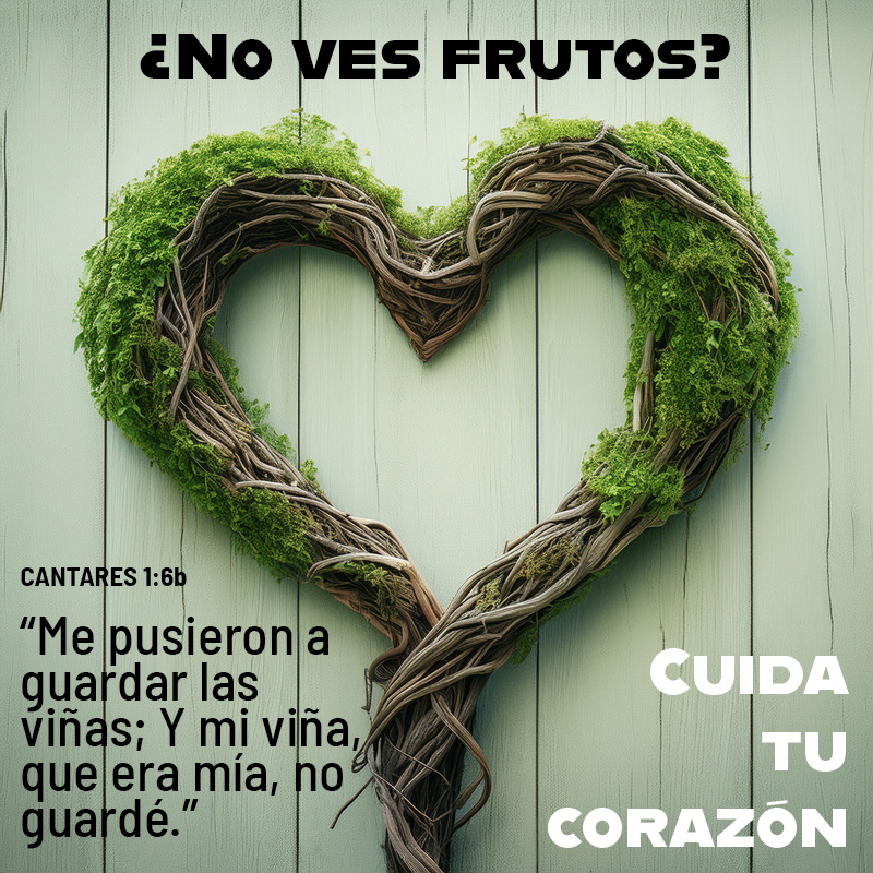 “Me pusieron a guardar las viñas; Y mi viña, que era mía, no guardé.” Cantares 1:6b

Cuida tu corazón