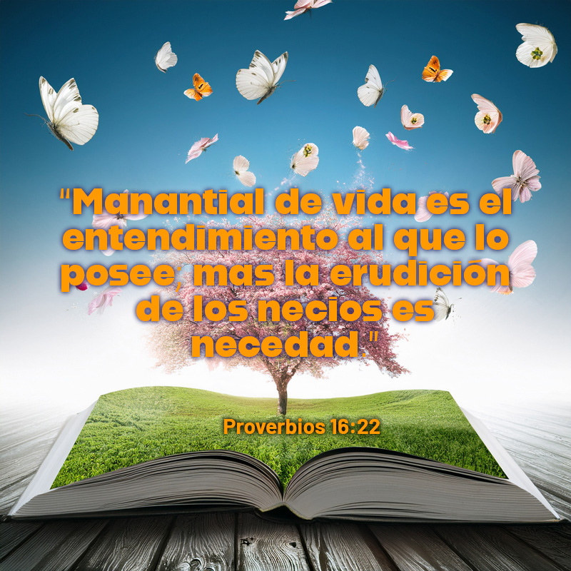 “Manantial de vida es el entendimiento al que lo posee; mas la erudición de los necios es necedad.”
Proverbios 16:22