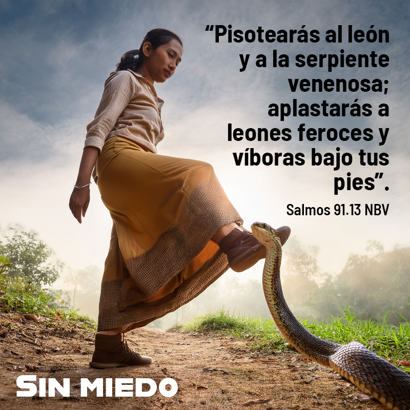 Pisotearás al león y a la serpiente venenosa; aplastarás a leones feroces y víboras bajo tus pies. 
Proverbios 13:19 NBV