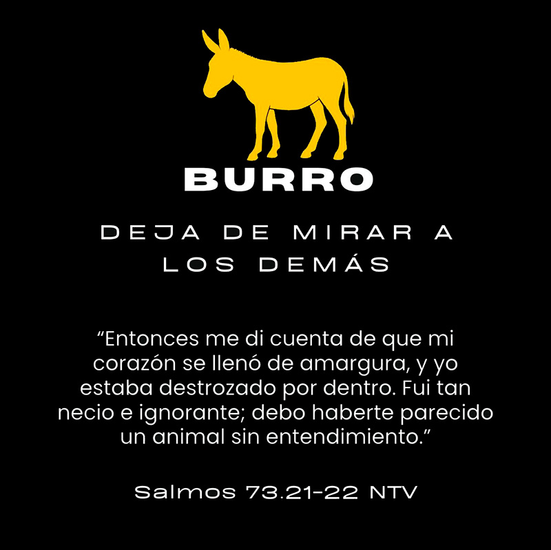 Deja de mirar a los demás
“Entonces me di cuenta de que mi corazón se llenó de amargura, y yo estaba destrozado por dentro. Fui tan necio e ignorante; debo haberte parecido un animal sin entendimiento.”
Salmos 73.21-22 NTV